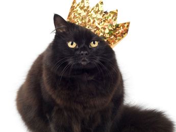 Epiphanie La Galette Des Rois