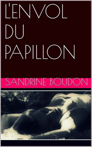 L'envol du papillon - Sandrine Boudon