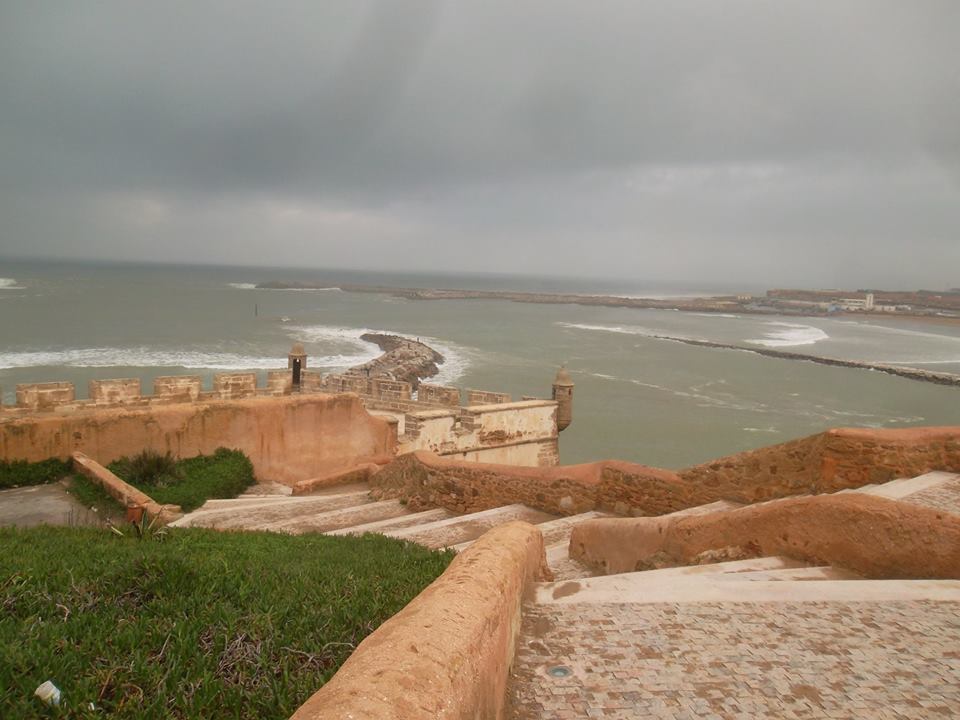 CPA AK MAROC SETTAT Les Oliviers (31604