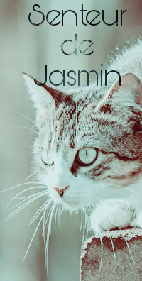 Senteur de Jasmin