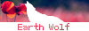 [A] EARTH WOLF B2xt