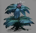 Herbier de la Forêt de Jade 3s8q