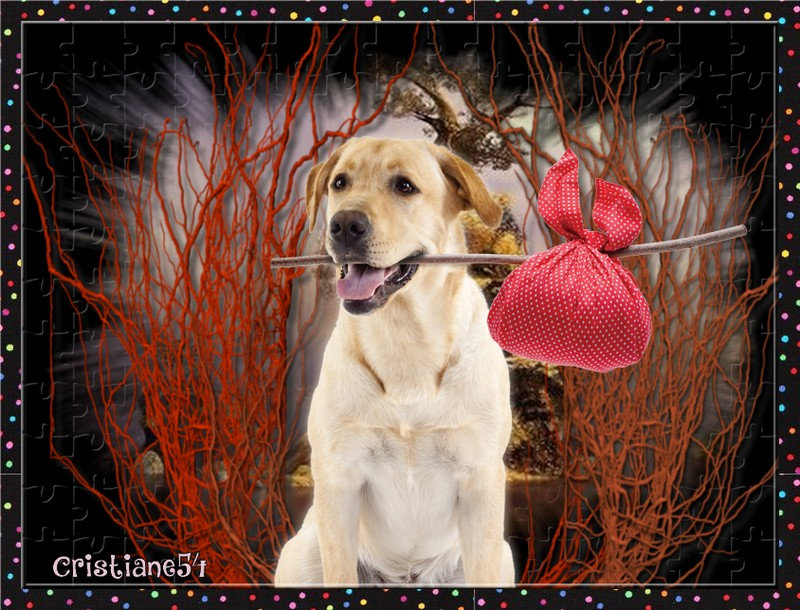 Bon Dimanche En Toute Simplicite