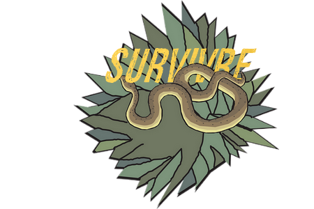 https://www.zupimages.net/up/18/36/koao.png