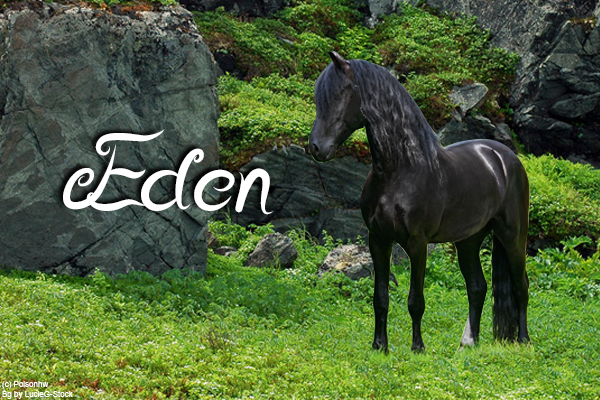 Eden L75l