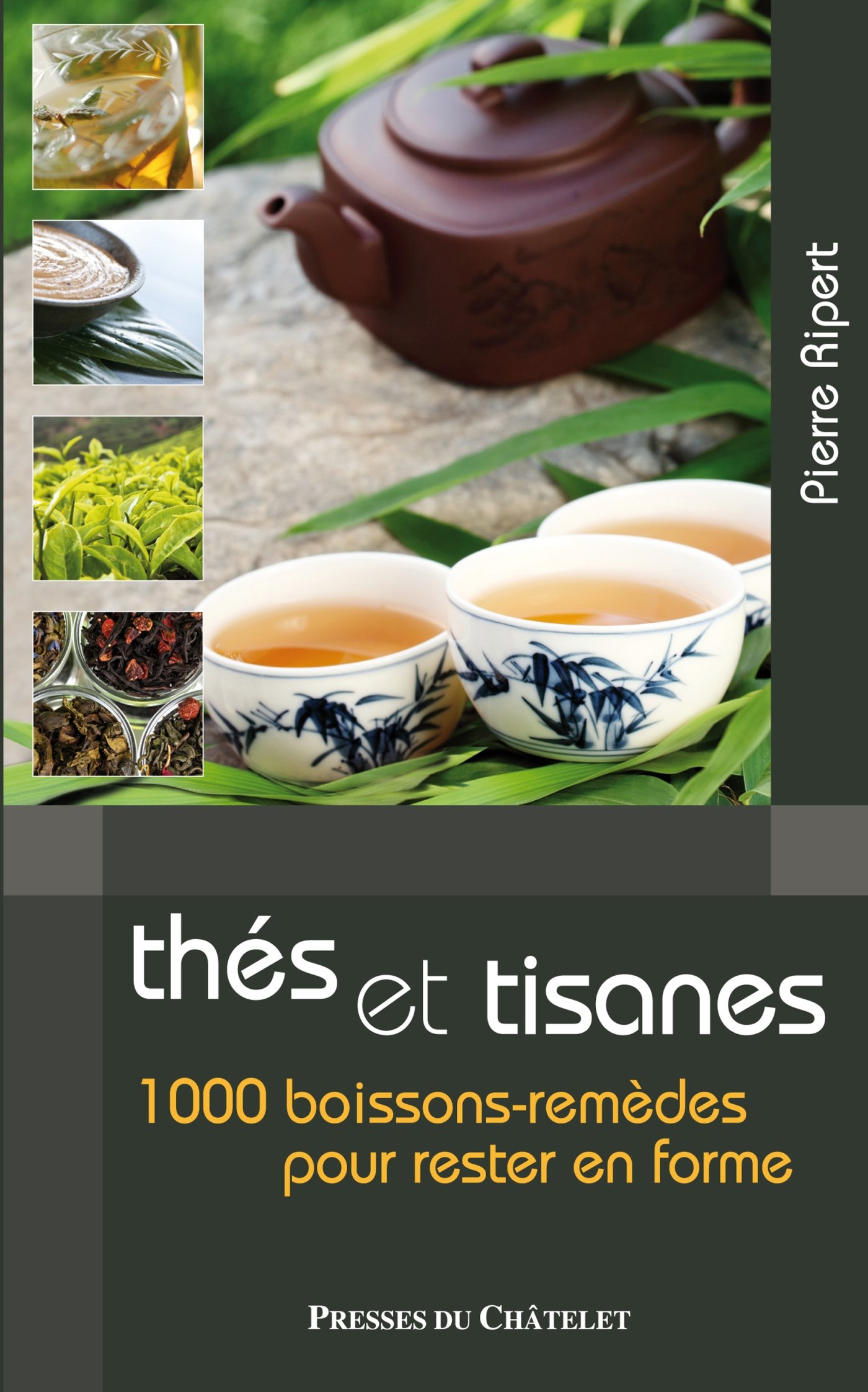 Les bienfaits des thés et tisanes : 1000 boissons-remèdes pour rester en forme - Pierre Ripert