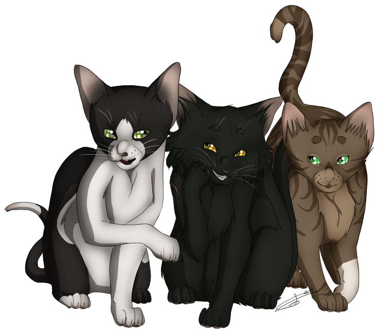 trois petits chatons || ft. Pin, Feuille, Ronce - abandon K9ia