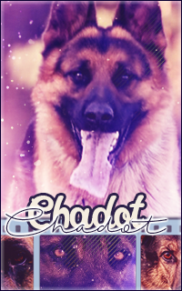 avatar Chadot