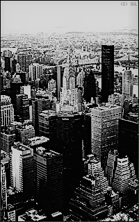 ( new-york city ) U220