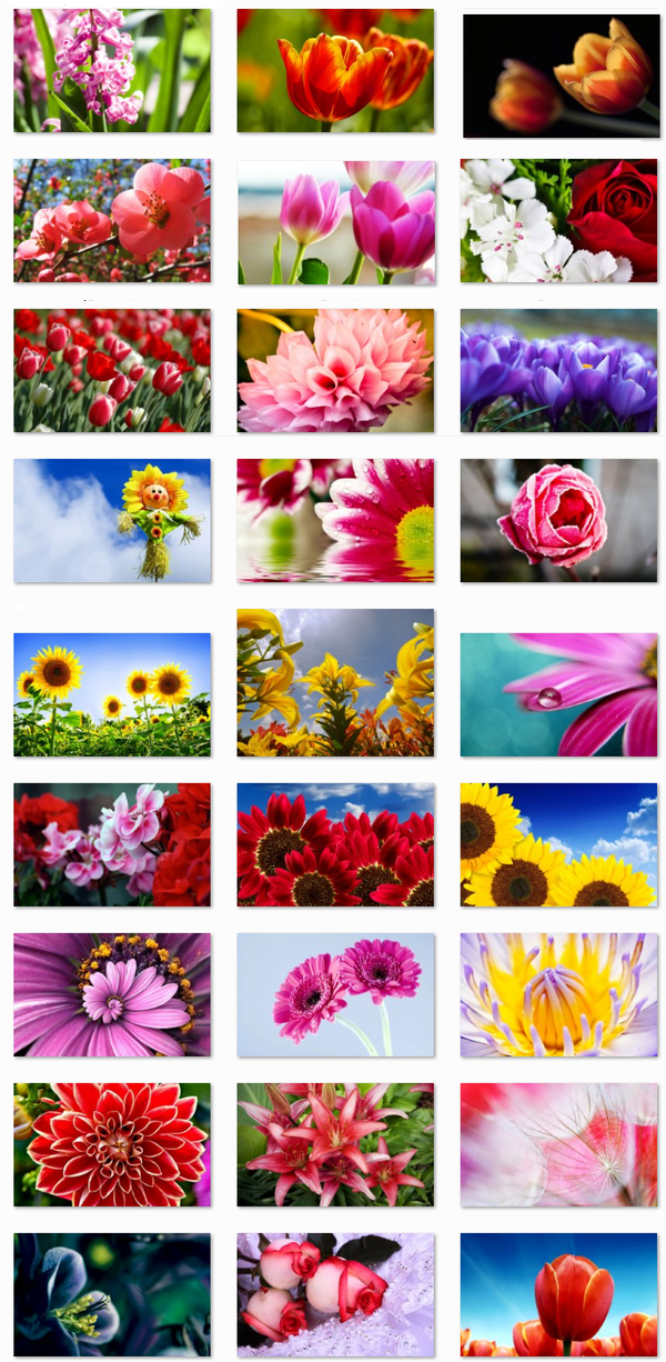  Beautiful Flowers أجمل 27 خلفية لباقة من الورود والأزهار الجميلة وبجوده HD النقية  155502864