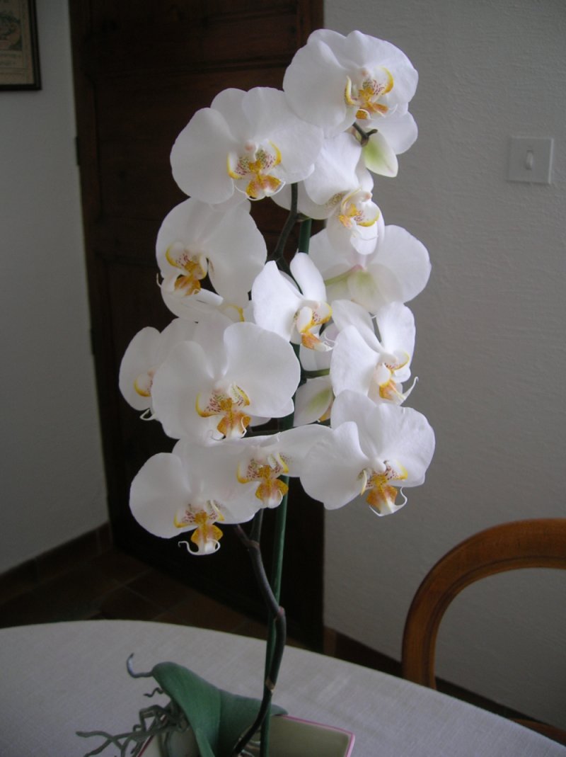 http://zupimages.net/up/2/350112770.jpg