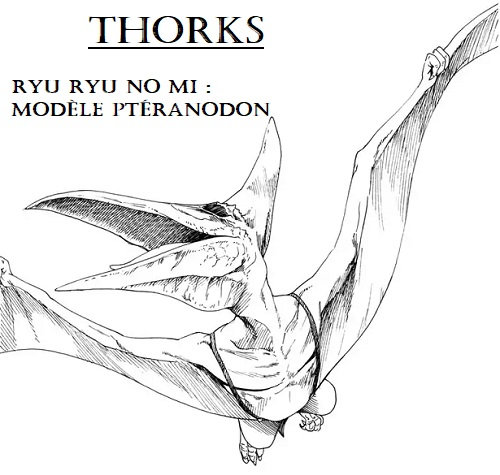 Thorks | Shingeki No Kyojin 7lme