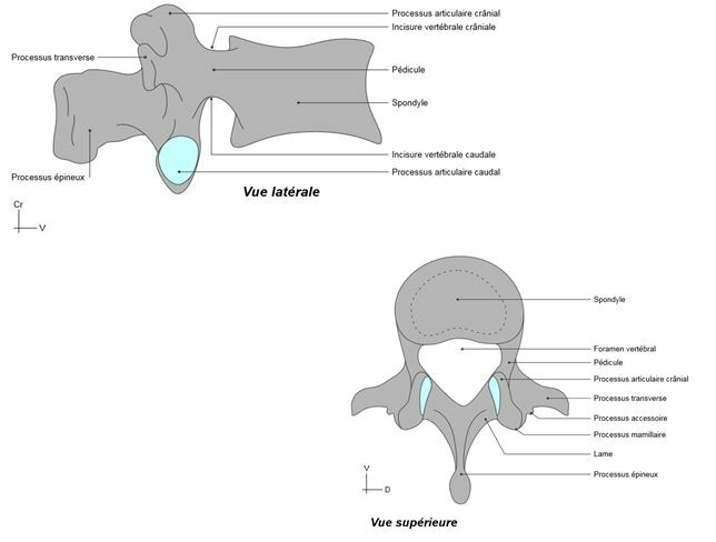2o66.jpg?fbclid=IwAR11s8ygzy8nunFhqUvP54
