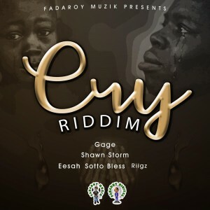 Cry Riddim 2020 (FadaRoy Muzik)
