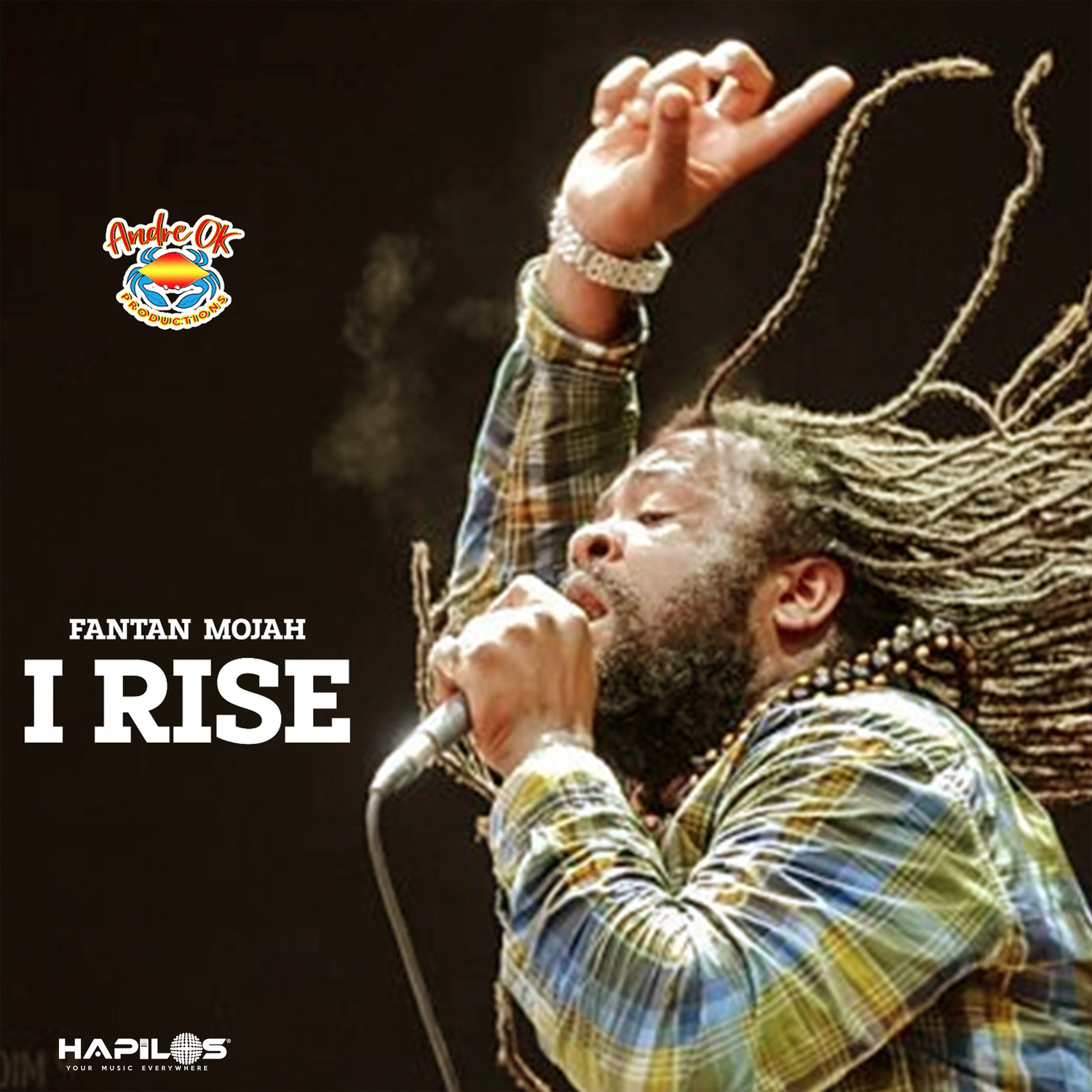 Fantan Mojah - I Rise