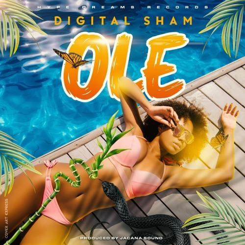 Digital Sham - Ole (Hype Dreams Records) 2021
