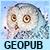 Logo 50x50 - Géo Pub