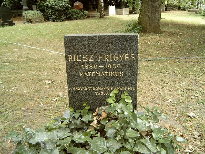 FRIGYES RIESZ. MATHEMATICIEN JUIF HONGROIS.