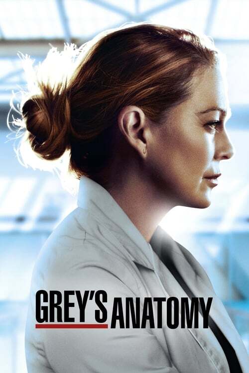 Greys.Anatomy.S01.[Eps 09-09].MULTi.1080p.10bit.WEBRiP.x265.HEVC (Grey's Anatomy s01)