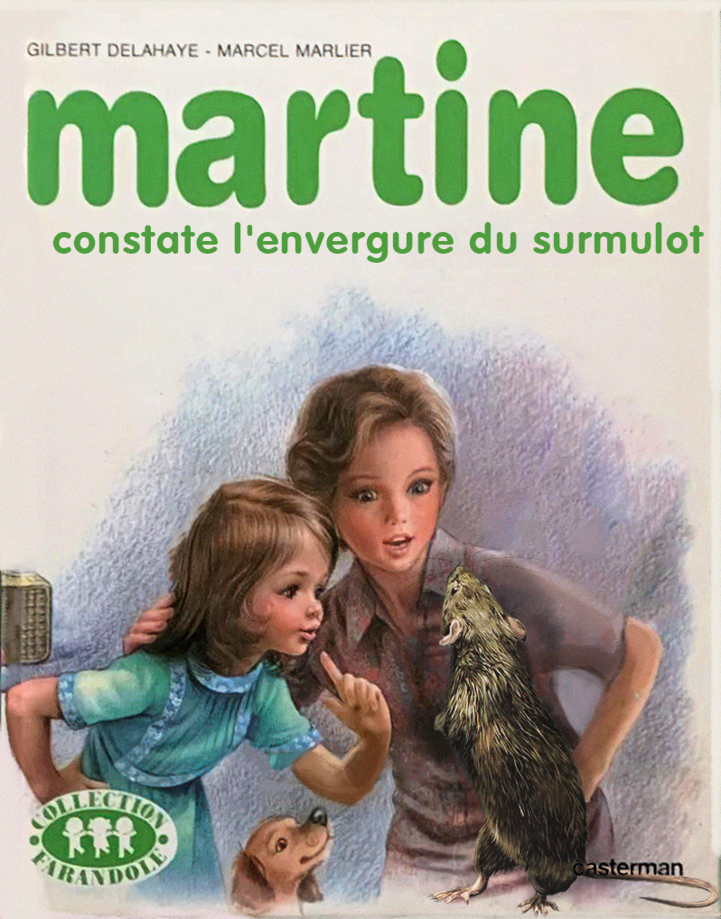 Rançaises, Rançais. Appel général aux moimois. Soyez créatifs ! : r/rance, image size:798x1018