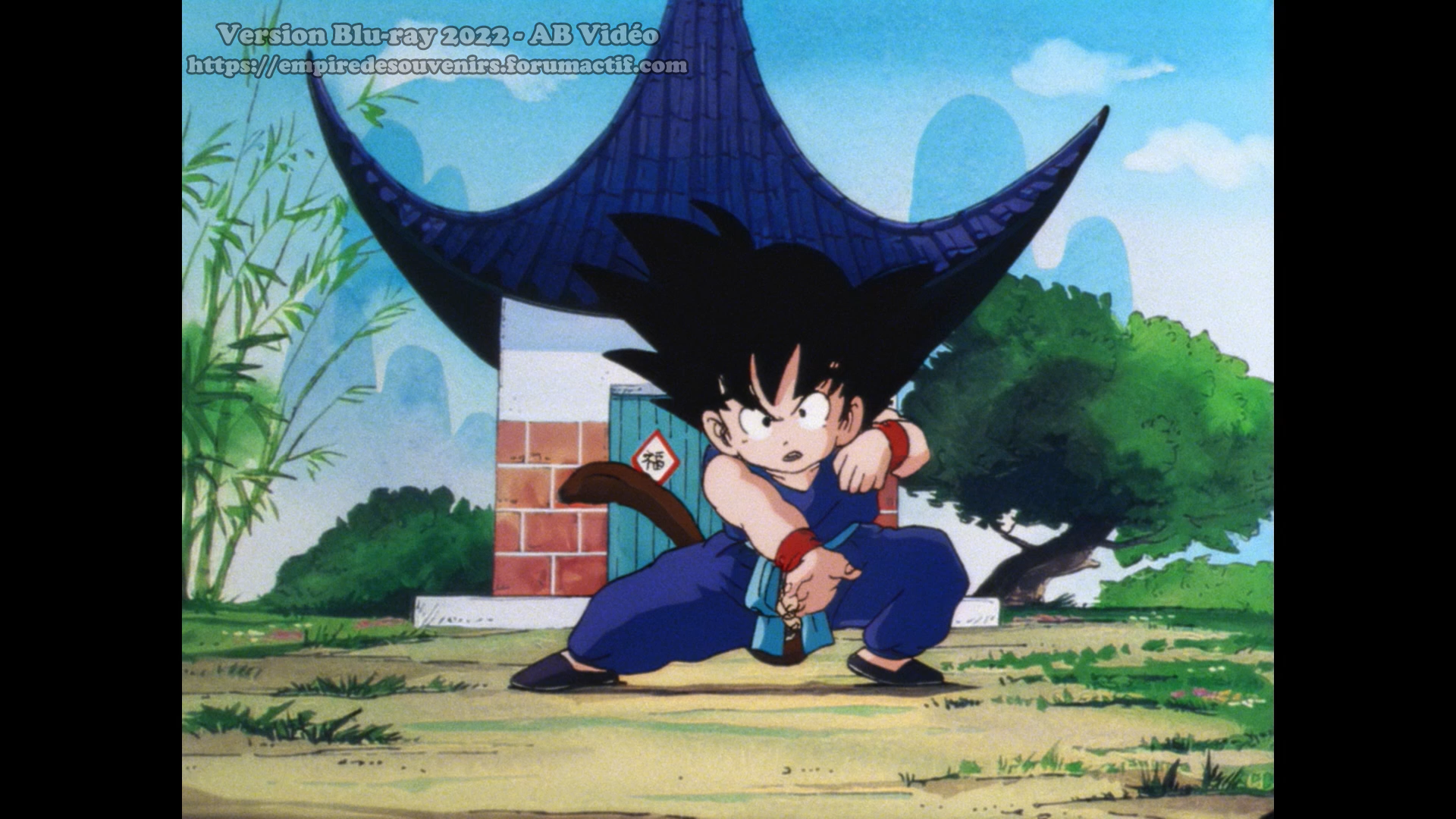 Anime Dragon Ball Z Completo em Blu Ray 1080p