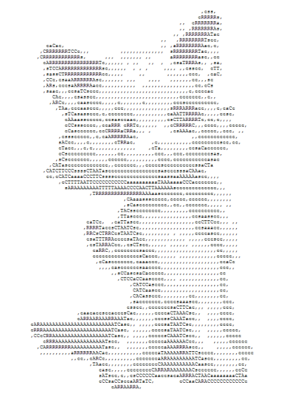 L'ASCII art 9o33
