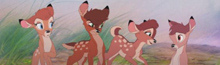 Voir un profil - Bambi 23r2