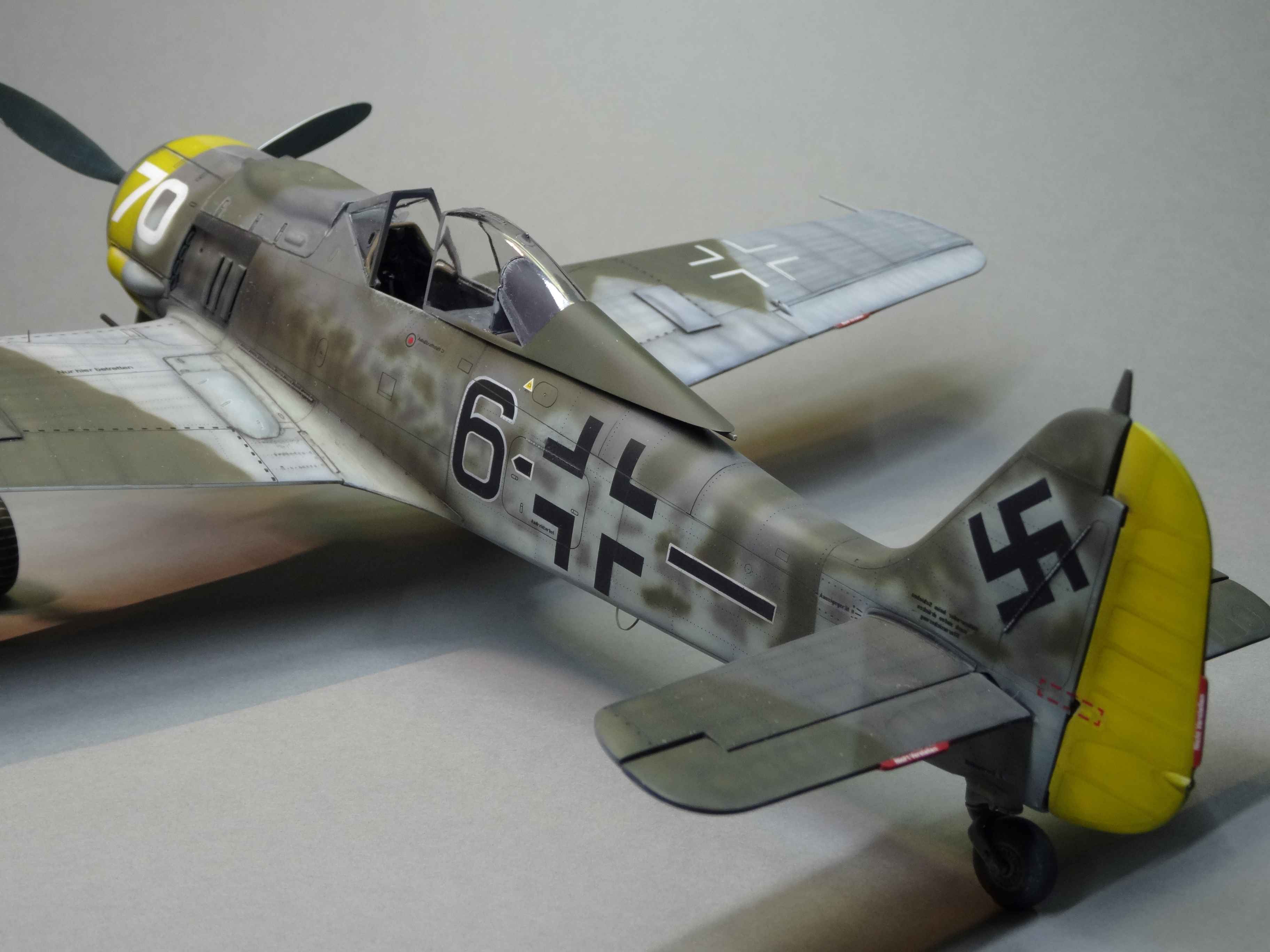 [Revell] Focke-Wulf Fw 190F-8   6./SG 10 - 1/32 3npx