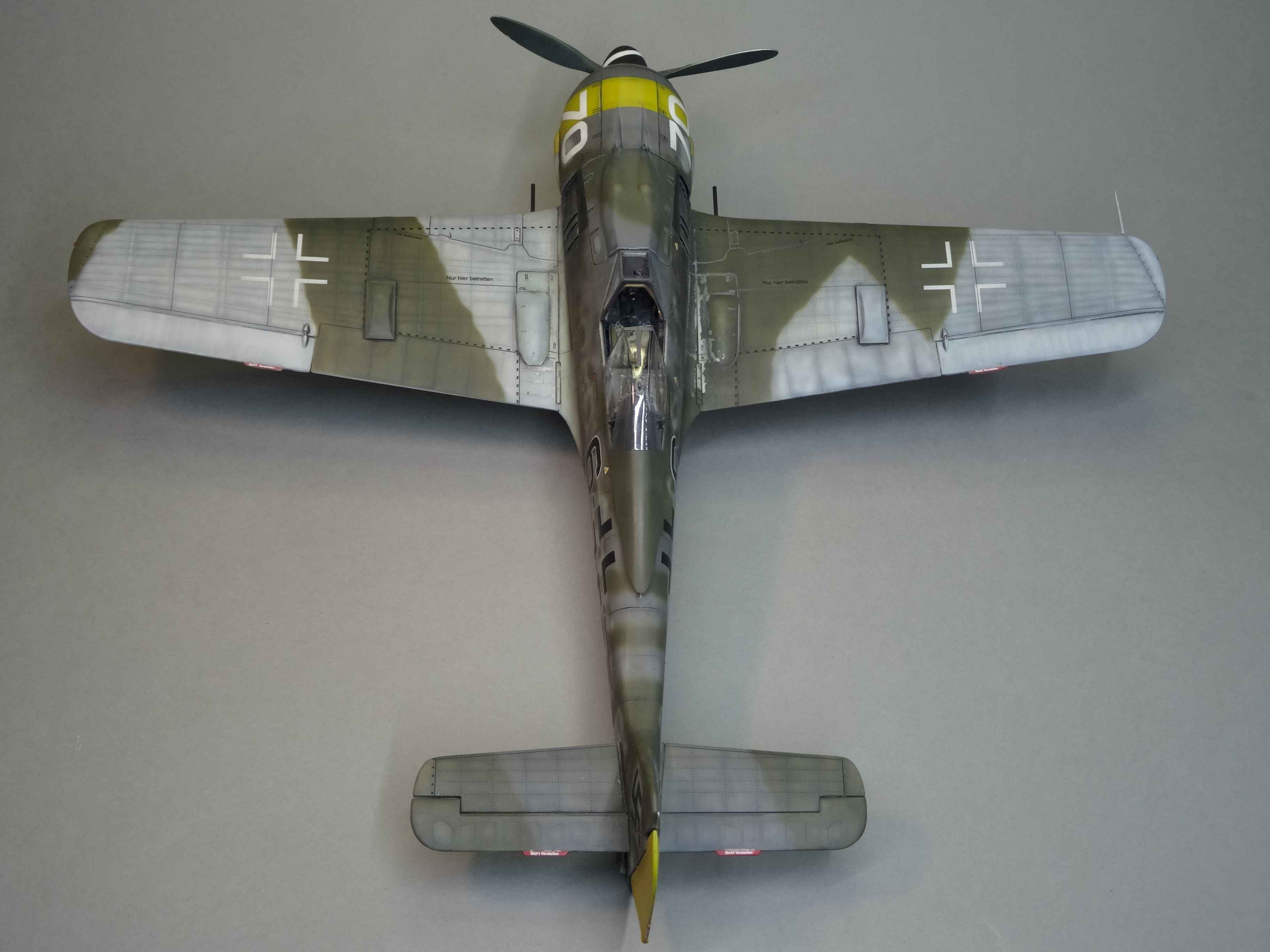 [Revell] Focke-Wulf Fw 190F-8   6./SG 10 - 1/32 Xozl