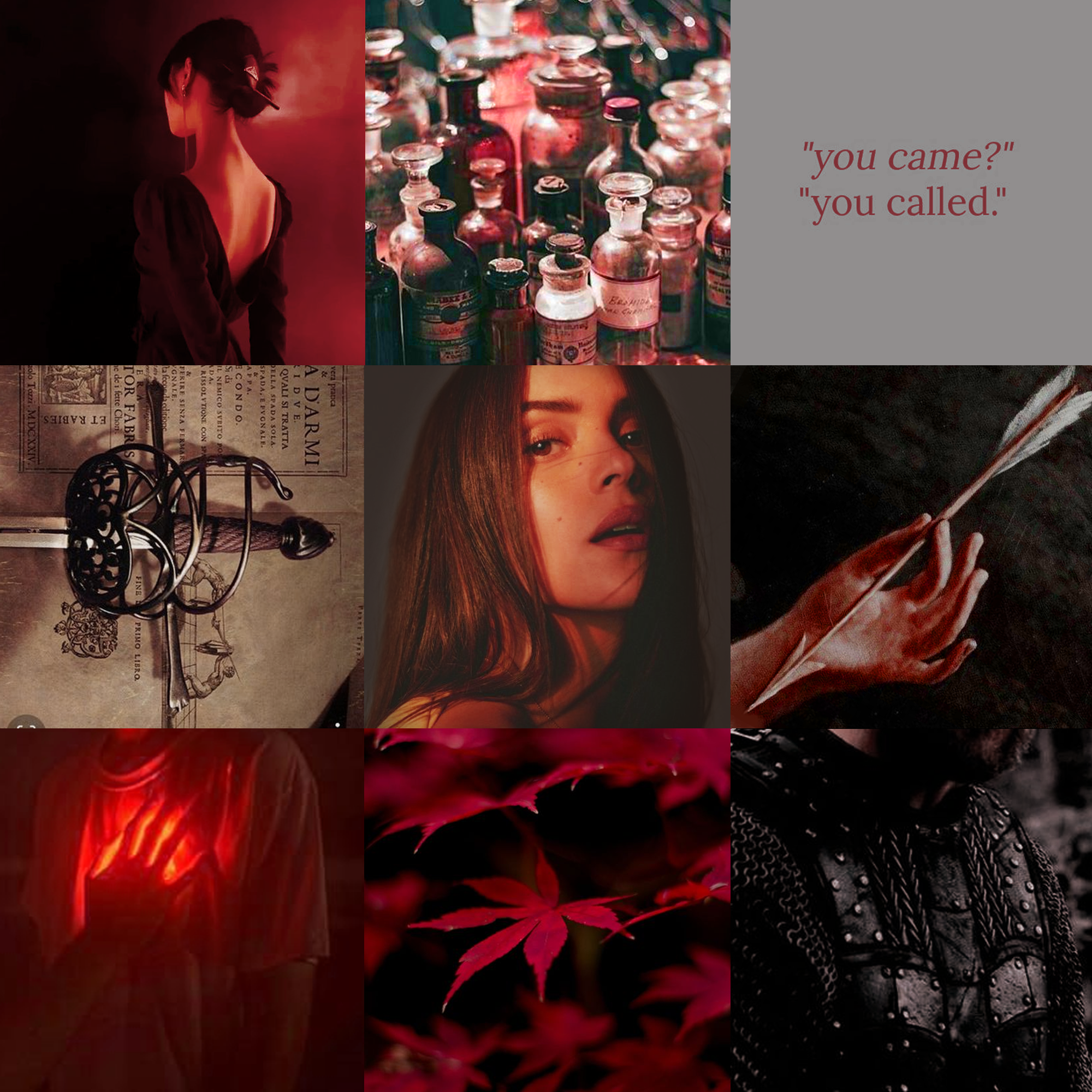 Rebellion in our blood (Luciana) Pwrs