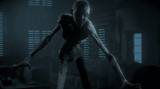 7zsd.gif