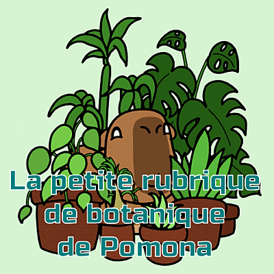 https://www.zupimages.net/up/26/16/4w5g.gif