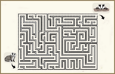 https://www.zupimages.net/up/26/16/a08y.jpeg