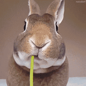 https://www.zupimages.net/up/26/16/lvxw.gif