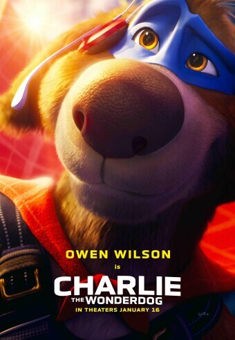 Movie cover image