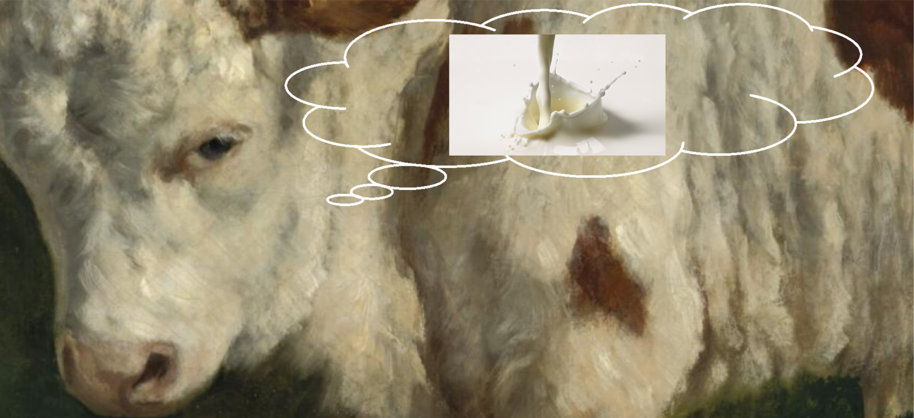 a3x6.png