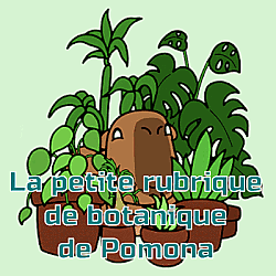 https://www.zupimages.net/up/26/20/jmuc.gif