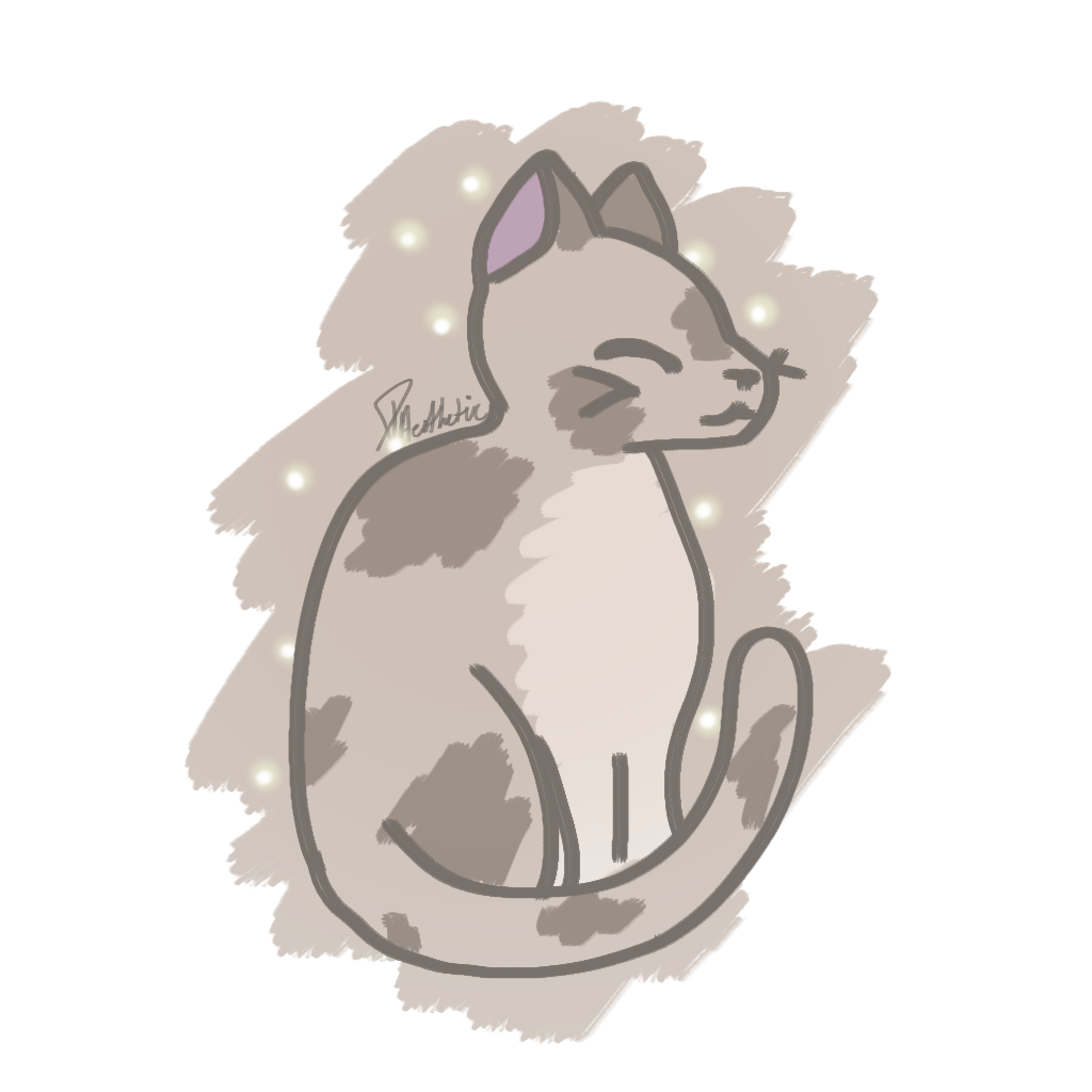 Timer Cat