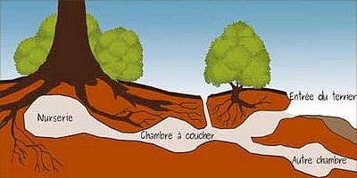 https://www.zupimages.net/up/26/30/m59v.jpg