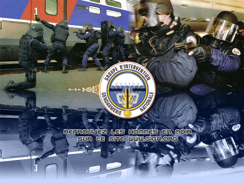 Forces de sécurités Française RAID,BRI-PP-BRI,GIPN,GIGN 1079706450