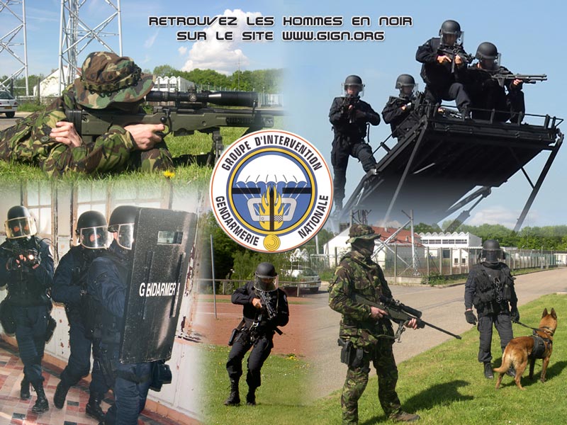 Forces de sécurités Française RAID,BRI-PP-BRI,GIPN,GIGN 1107425627