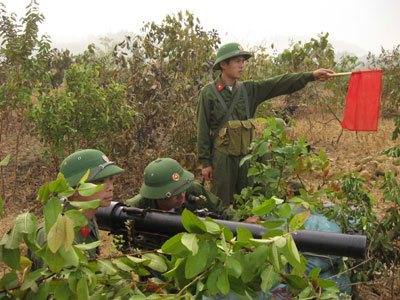  Armée  Vietnamienne 186775100